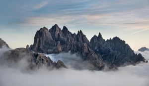 Dieta wegetarianska do warto wiedziec