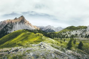 Wartość tego jak naprawić instalacje w Wodzisławiu