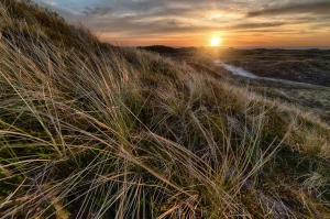 Cała Prawda O Tym Jak wyzdrowieć (a Której Sprzedawcy Ci Nie Powiedzą)